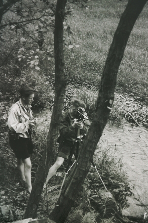 Landesmarklager 1954