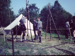 Gaulager Osminghausen 164