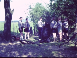 Gaulager Osminghausen 164