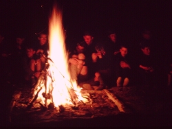 Gaulager Osminghausen 164