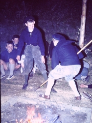 Gaulager Osminghausen 164