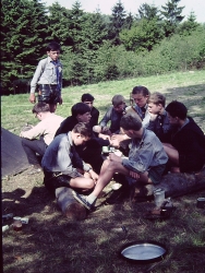 Gaulager Osminghausen 164