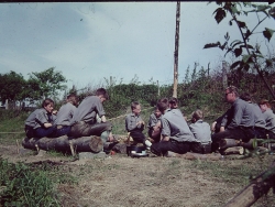 Gaulager Osminghausen 164