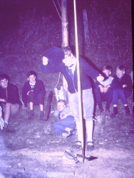 Gaulager Osminghausen 164