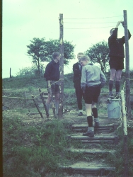 Gaulager Osminghausen 164