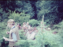 Wöflinge 1967