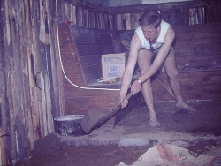 Gaulager Osminghausen 164